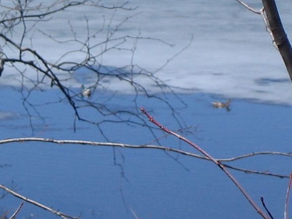 3rd image of Little Long Lake Ln
