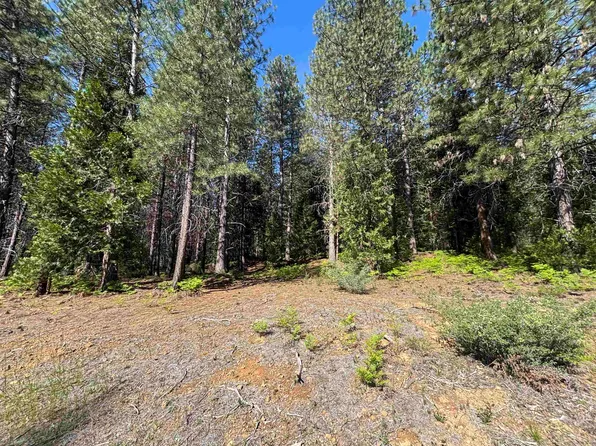LOT 16 Old Mill Rd, McCloud, CA 96057