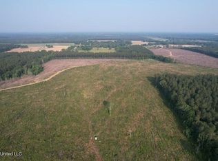 Mink Branch Rd, Pelahatchie, MS 39145