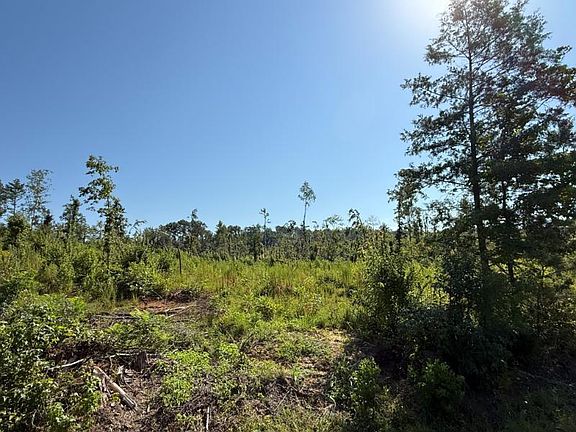 2nd image of Pate Rd