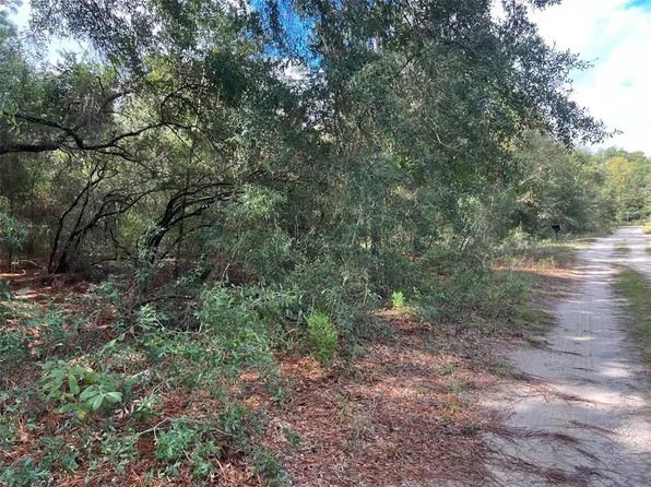 5450 NW 12th Pl #31, Ocala, FL 34482