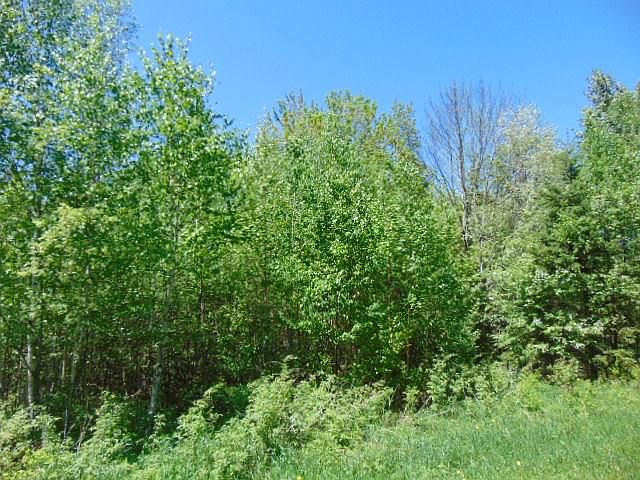 2nd image of Oakes Rd