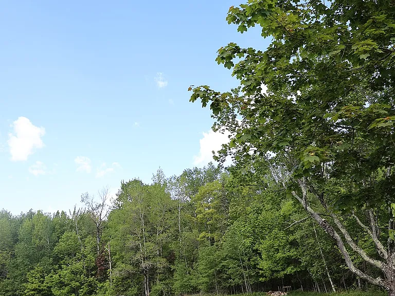 101 Robbins Rd — Photo 4