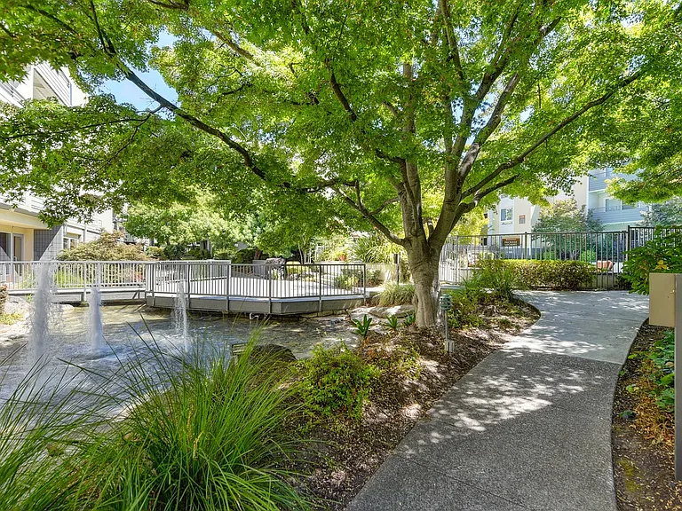 Community Water Features
