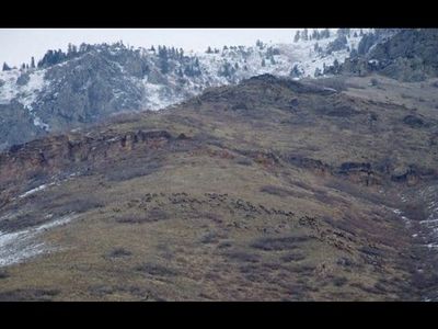 1654 N 50 E, Springville, UT, 84663