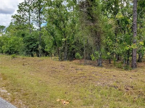 SW Pony Ridge Dr Lot 36, Dunnellon, FL 34431