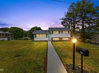 315 Louise Ln, Blountville, TN 37617