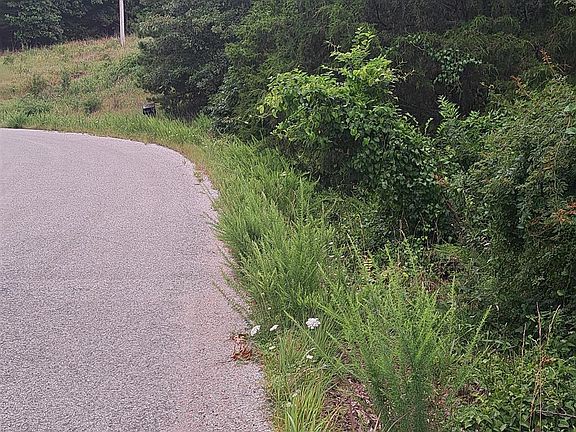 5th image of LOT 4 Basswood Dr