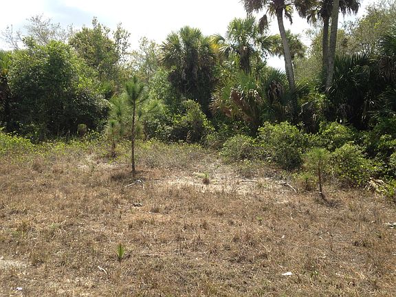 Front Portion Cleared