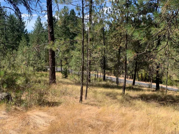 160XX N Austin Rd, Spokane, WA 99208