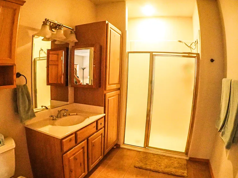 main bathroom with walk in shower