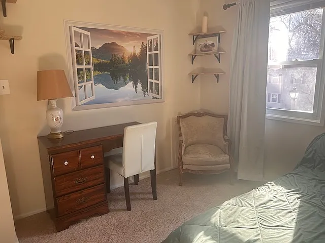 Third bedroom with shelves.