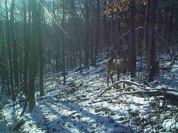 3rd image of 20.86 Ac Hwy #18
