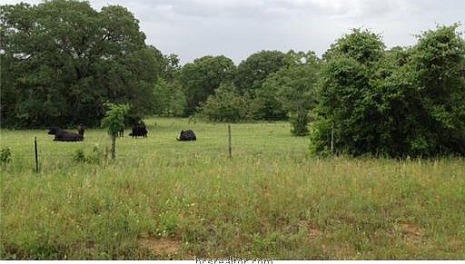 3rd image of County Road 329