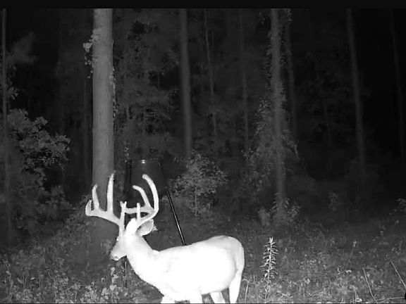 5th image of 845 George Blvd