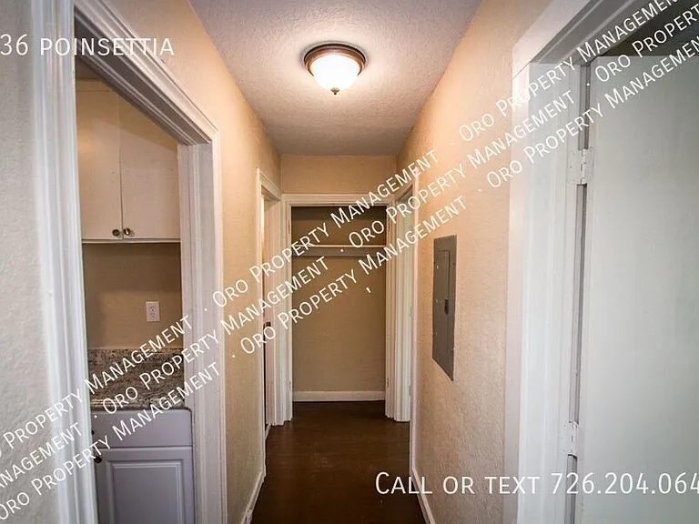 936 Poinsettia — Photo 19