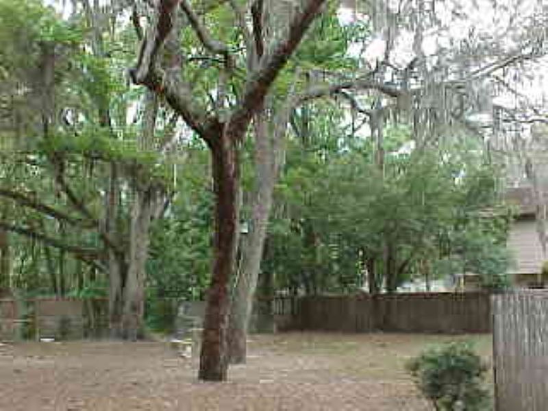2nd image of 427 E Magnolia Ave APT 121