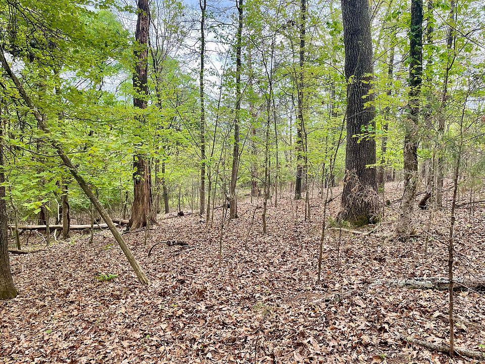 2nd image of LOT 9 Frank Dawn Rd