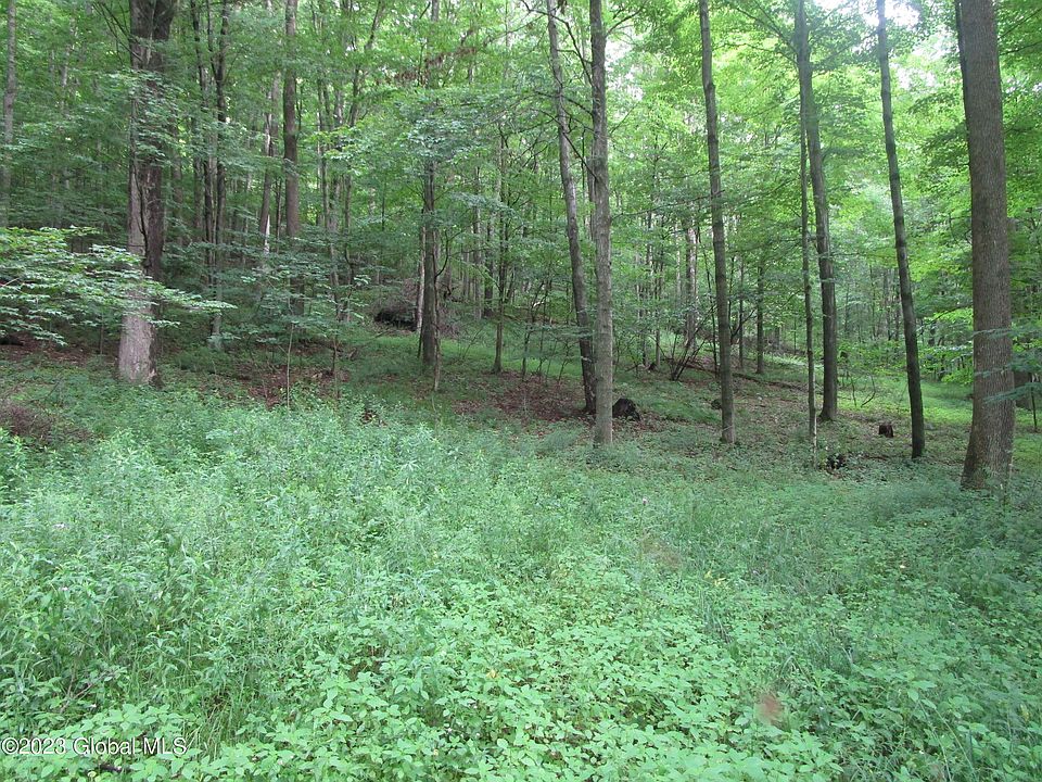 L49.02 State Hwy 7, Worcester, NY 12197 MLS 202321523 Zillow