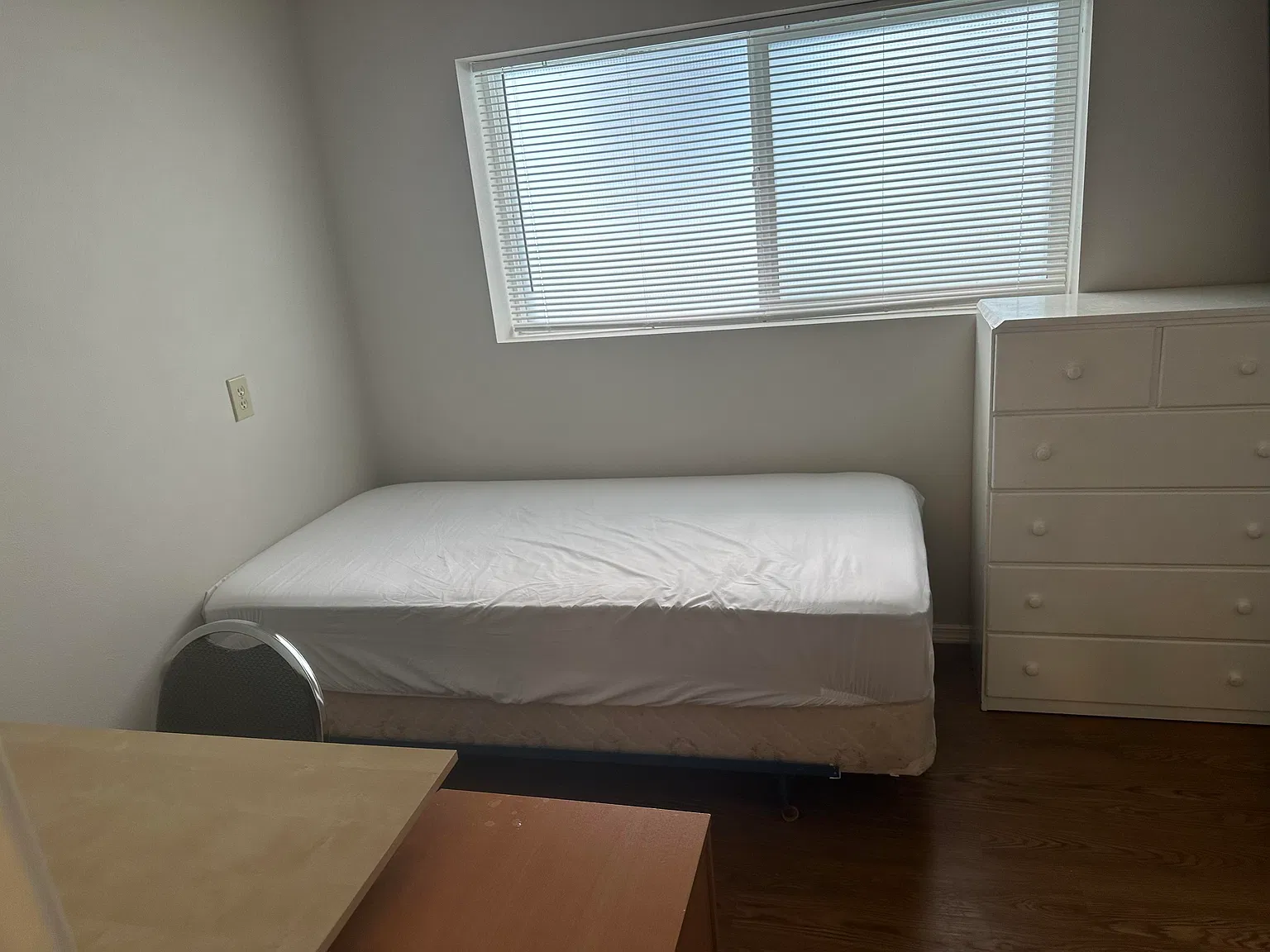 Studio, 220 sqft, $735 — Photo 4