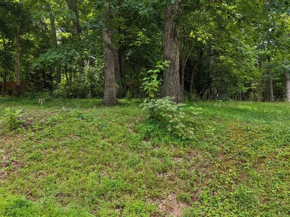 0 Lamont Cir Lot 13, Madison Heights, VA 24572