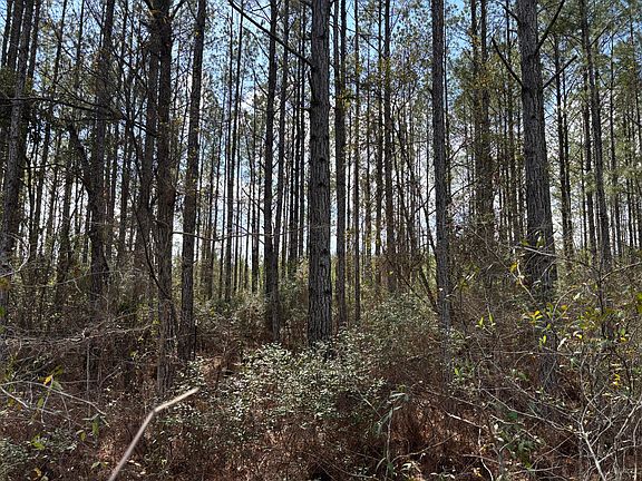 2nd image of Red Oak Rd