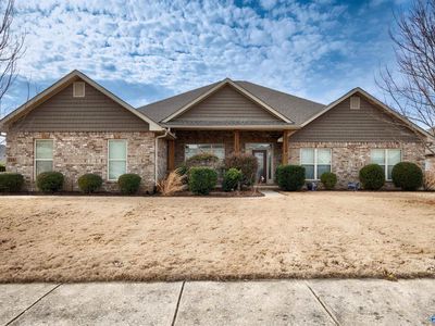 116 Chesnut Heath Ct, Madison, AL, 35756