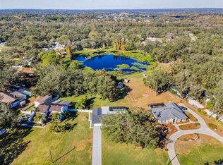 11409 Donneymoor Dr, Riverview, FL 33569