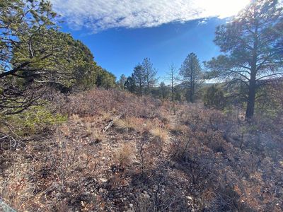 231 Huxley Dr, Timberon, NM, 88350