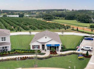 9560 Black Walnut Dr, Clermont, FL 34715