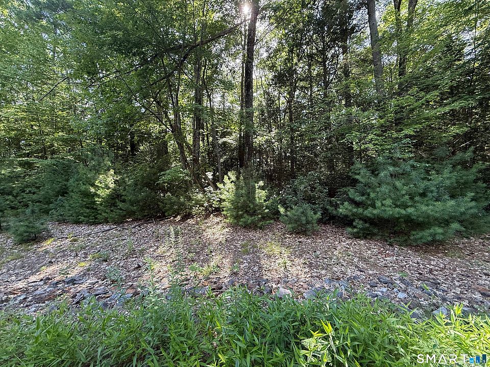 2nd image of Tayler Trail