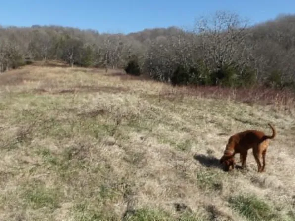5808AC Spring Fork Rd, Granville, TN 38564