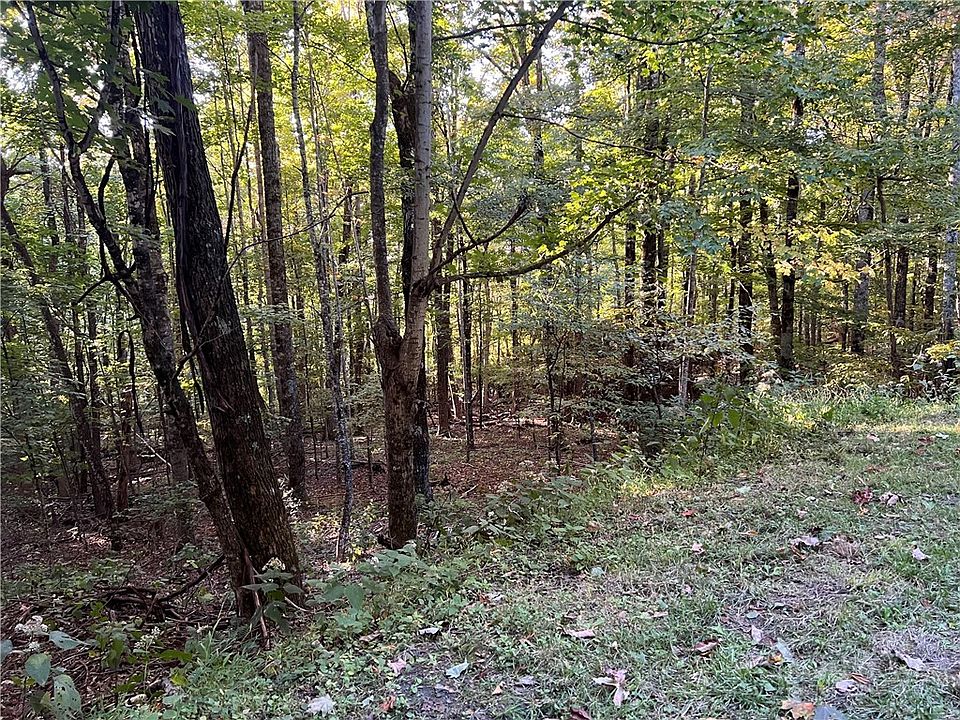 1st image of TBD Maple Branch Road