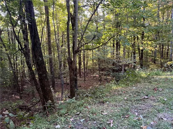 TBD Maple Branch Road, West Jefferson, NC 28694
