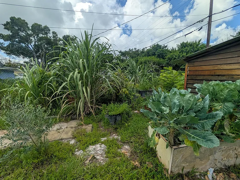 625 Coconut Ave N — Photo 39