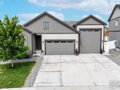 4504 Hollycomb Dr, Windsor, CO, 80550