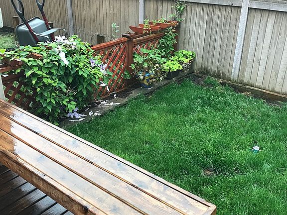Garden Fence