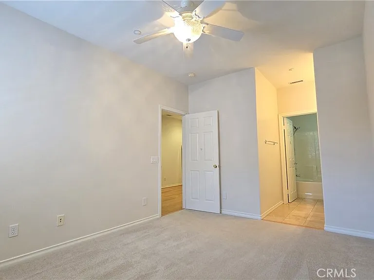 29 Carnation — Photo 29
