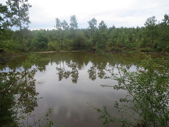 5th image of S Patten Rd Lot Wp001