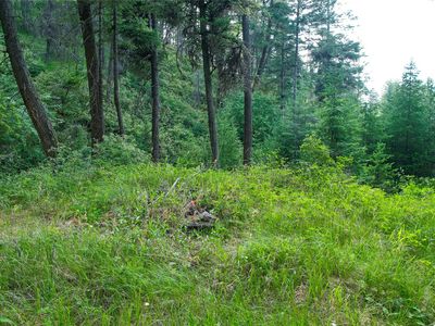 Nhn Black Point Rd, Polson, MT, 59860