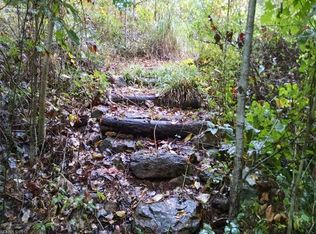 419 Bull Creek Rd, Asheville, NC 28805