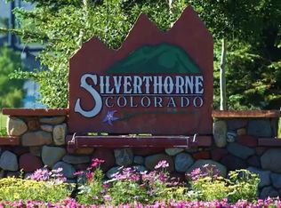 35 Wildernest Ct, Silverthorne, CO 80498