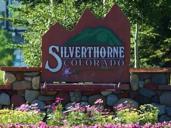 35 Wildernest Ct, Silverthorne, CO 80498