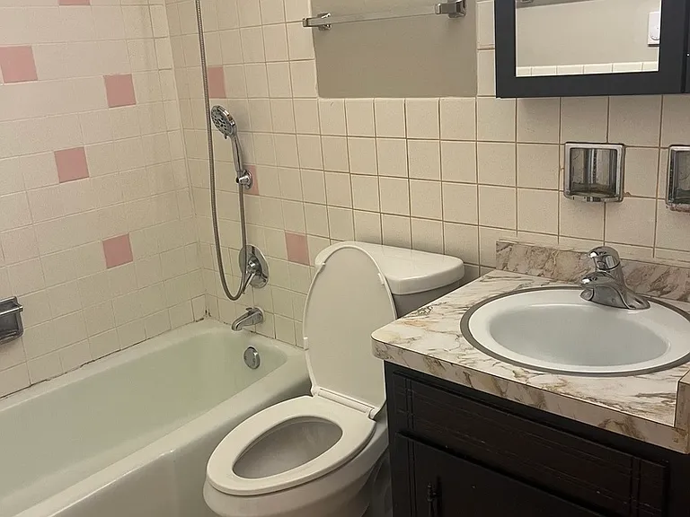 11945 S Hamlin Ave #1B — Photo 6