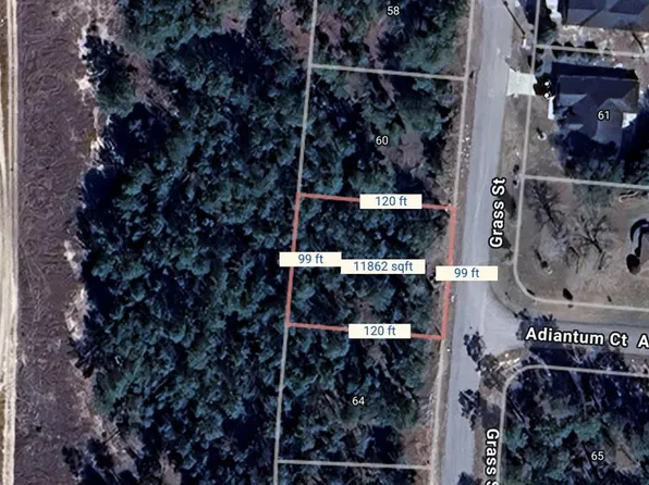 62 Grass St #50, Homosassa, FL 34446