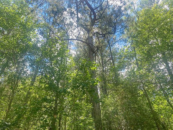 3rd image of 6934 County Road 2252