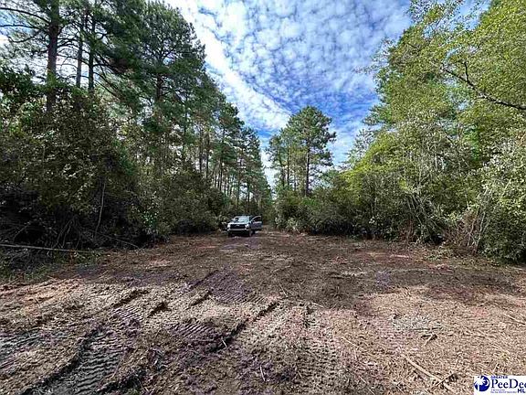 2nd image of 0 Highway 52 S