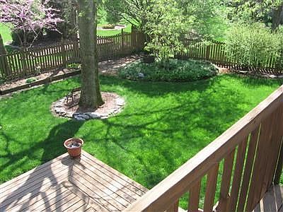 Back yard