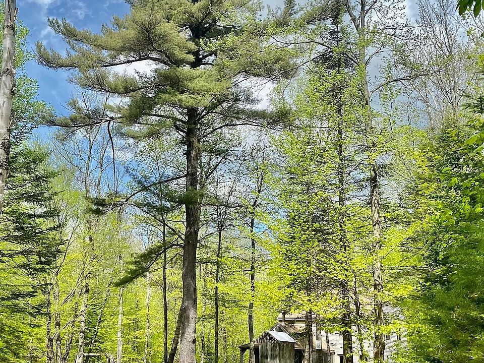 1749 Middletown Rd, Andover, VT 05143 Zillow