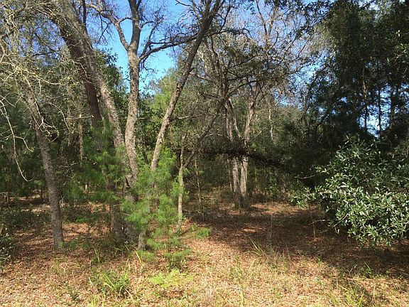 3rd image of 1015 Seminole Bear Trl